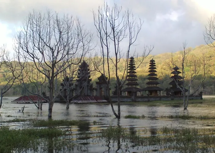 Bali Natural Guest house Jimbaran (Bali)