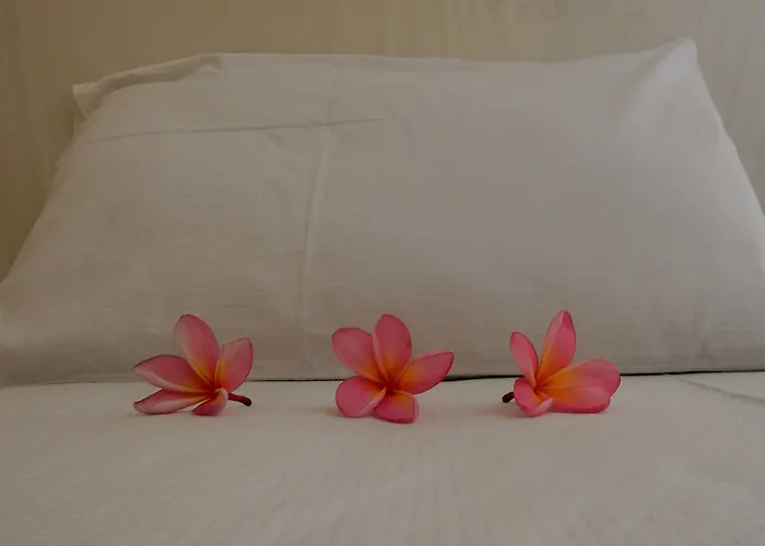 Guest house Bali Natural